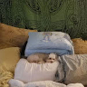 Meet your Posher, Slc